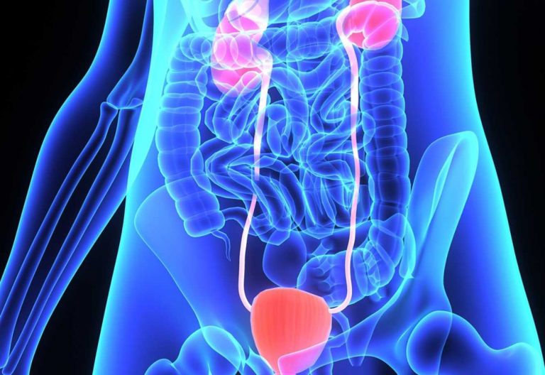 Disfunzione vescicale la nuova tecnologia closedloop