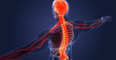 Spine and vagus nerve