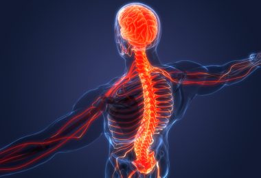 Spine and vagus nerve