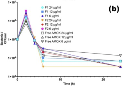 Grafico che mostra le curve di riduzione della carica batterica nel tempo per le formulazioni F1 (non PEGilate), F2 (PEGilate) e amoxicillina libera a diverse concentrazioni. F2 evidenzia la maggiore riduzione batterica