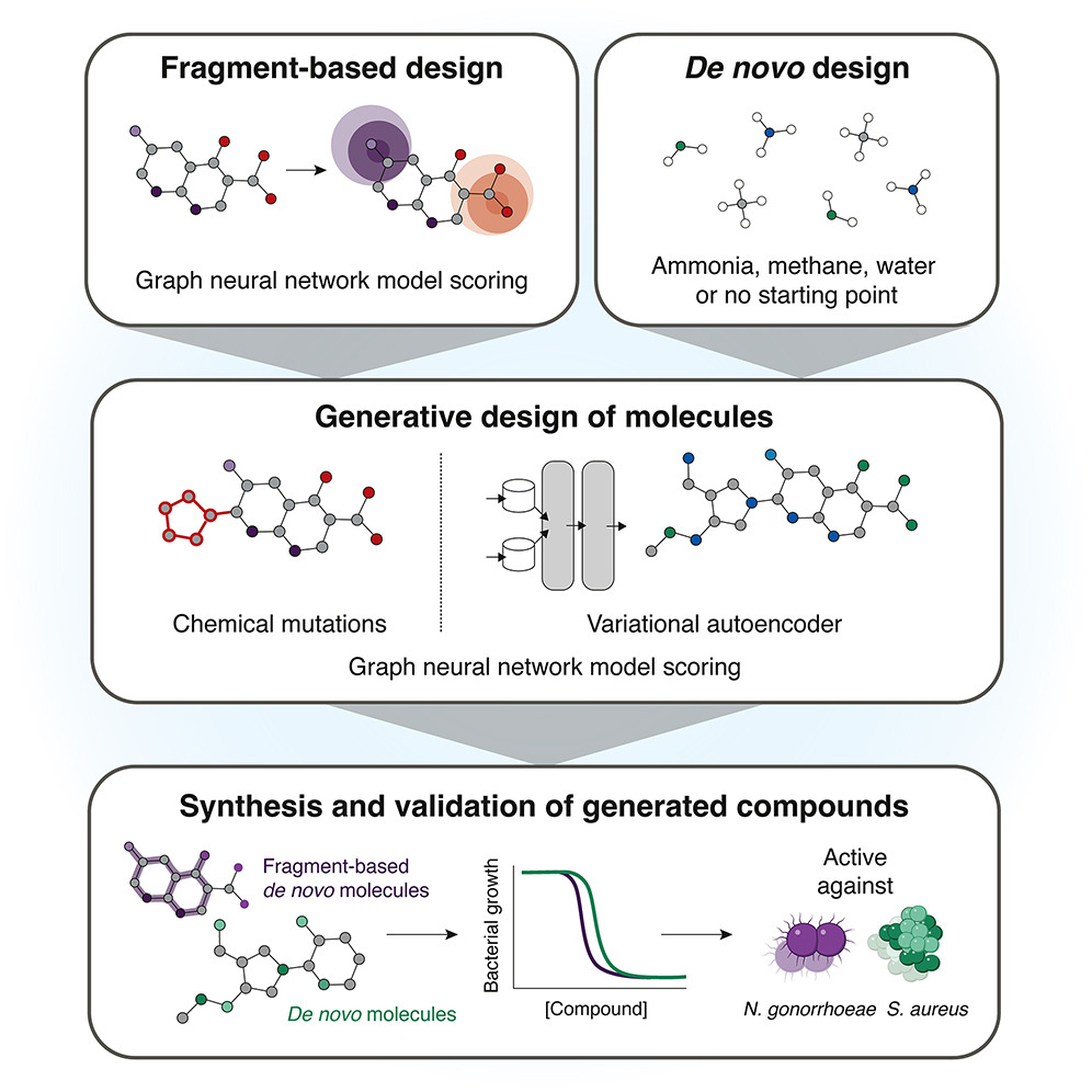 Schema in tre fasi del progetto Antibiotics-AI: selezione di frammenti molecolari tramite GNN, generazione di nuove molecole con mutazioni chimiche e autoencoder variazionale, sintesi e validazione contro N. gonorrhoeae e S. aureus