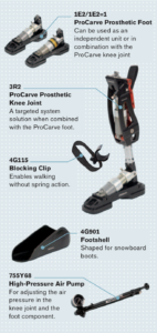 procarve ottobock