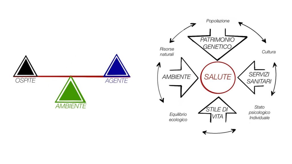 Modello ecologico (sinistra): bilancia tra ospite, agente e ambiente. Modello olistico di Blum (destra): patrimonio genetico, ambiente, stile di vita e servizi sanitari convergono sulla salute, influenzati da popolazione, cultura, stato psicologico, risorse naturali ed equilibrio ecologico