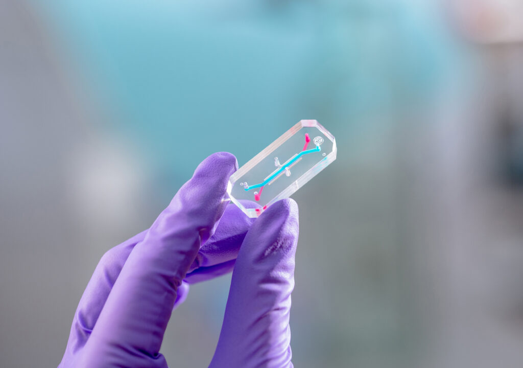 Mano con guanto viola che regge un piccolo chip trasparente con sottili canali interni blu e rosa
