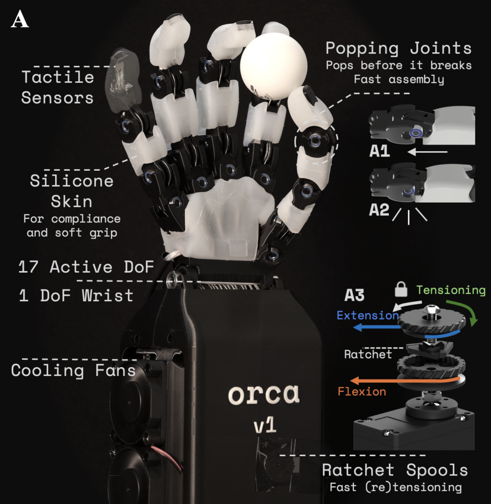 Schema annotato della mano robotica ORCA v1 con etichette che indicano sensori tattili, rivestimento in silicone, 17 gradi di libertà attivi, polso con 1 DoF, ventole di raffreddamento, giunti a sgancio rapido e rocchetti a cricchetto per la ritensionatura dei tendini