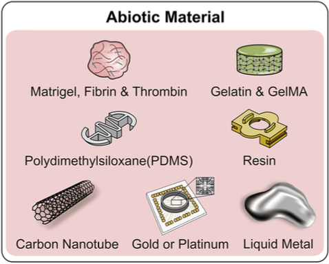 Esempi di materiali abiotici: Matrigel, fibrina, trombina, gelatina, GelMA, PDMS, resina, nanotubi di carbonio, oro, platino e metallo liquido