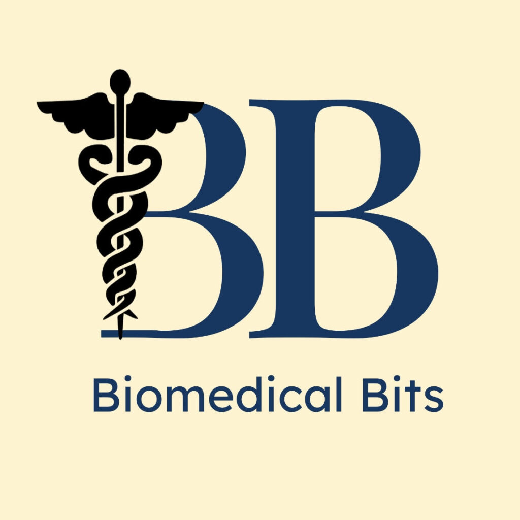 Logo di Biomedical Bits: iniziali BB in blu navy affiancate dal simbolo del caduceo medico