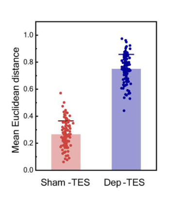 Grafico a barre: distanza euclidea media Sham-TES (~0,27) nettamente inferiore a Dep-TES (~0,75)