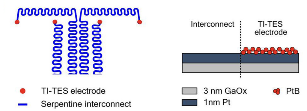 Schema della struttura a serpentina degli interconnessi e degli elettrodi TI-TES multistrato con GaOx, Pt e nanoclusters PtB